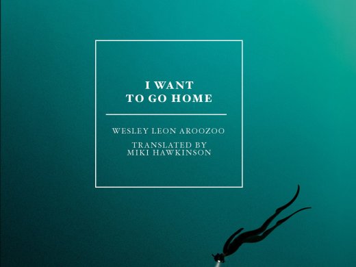 open books: I Want to Go Home