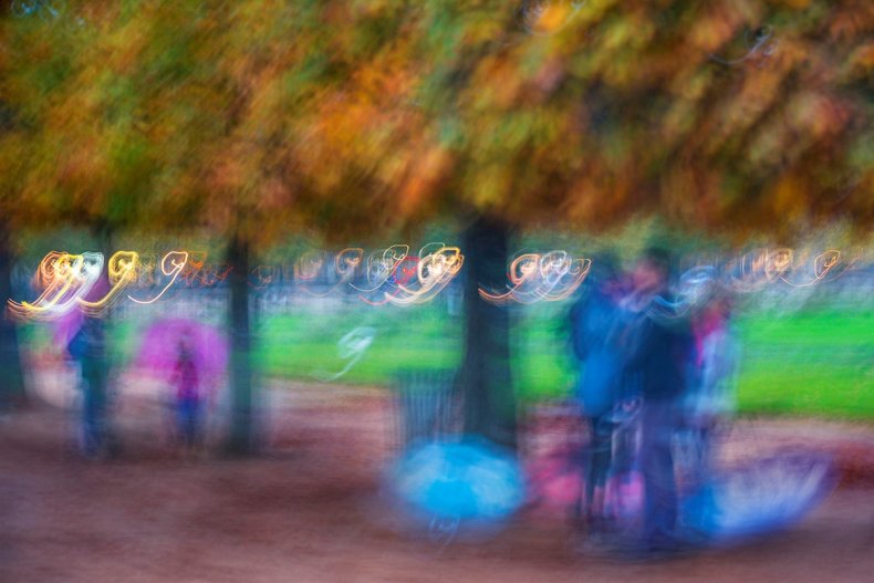 Les Arbres de Paris (The Trees of Paris)