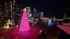 ChariTrees Big Tree - Marina Bay 2024