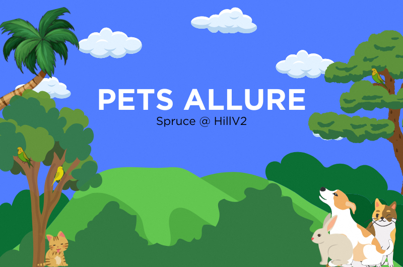 Pets Allure